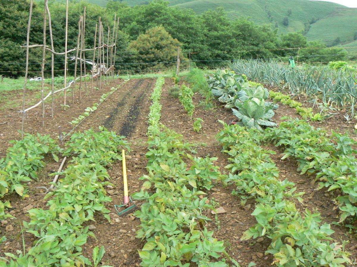 La Ferme Aux Sangliers - Micalet Villa Issor Ngoại thất bức ảnh